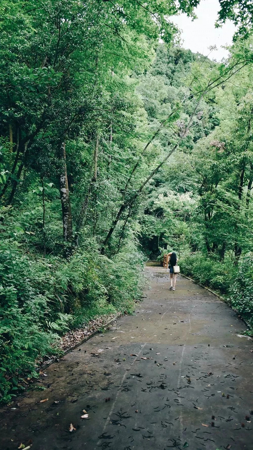 千島湖|傾境，慢生活消磨著自己的時光