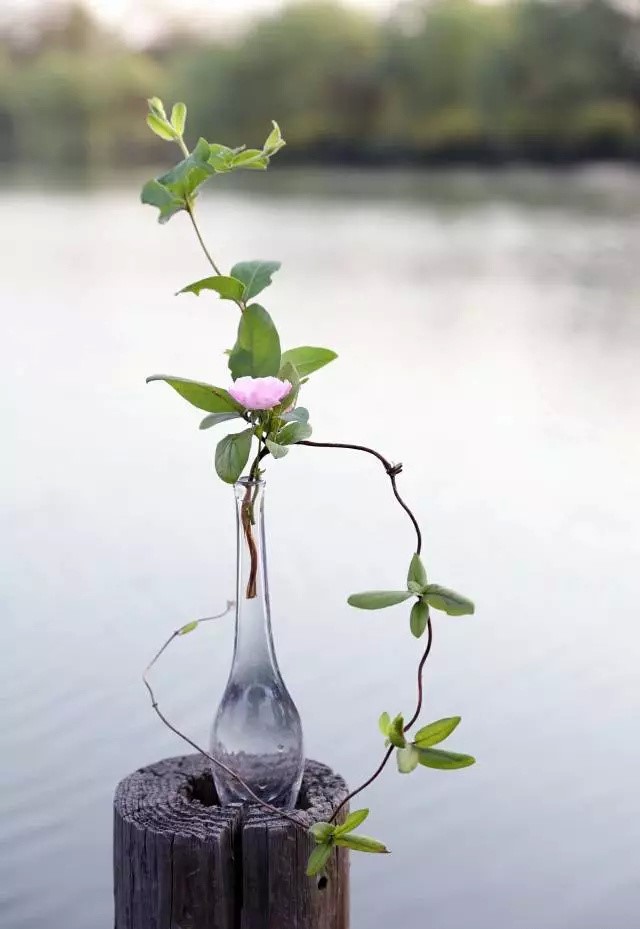 超有意境的瓶花藝術(shù)，一組簡約中國瓶花藝術(shù)