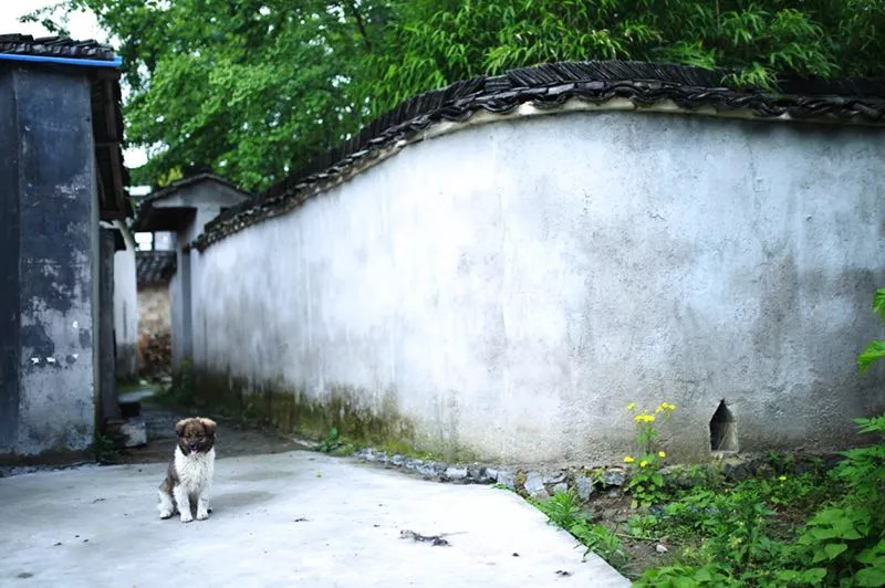 黃山·舊街墨野，浸染徽文化的地方
