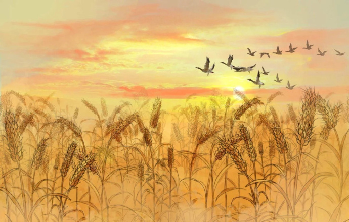 花香滿溢的古風(fēng)圖片，春天意境的唯美古風(fēng)圖片