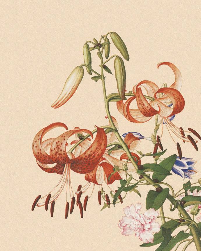 郎世寧的工筆畫欣賞，品味國畫藝術(shù)的古典之美