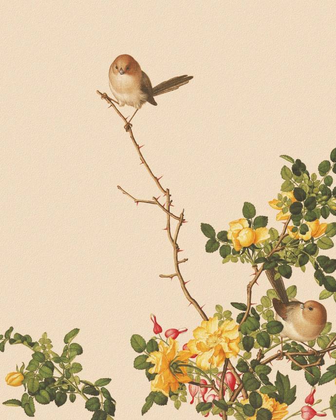 郎世寧的工筆畫欣賞，品味國畫藝術(shù)的古典之美