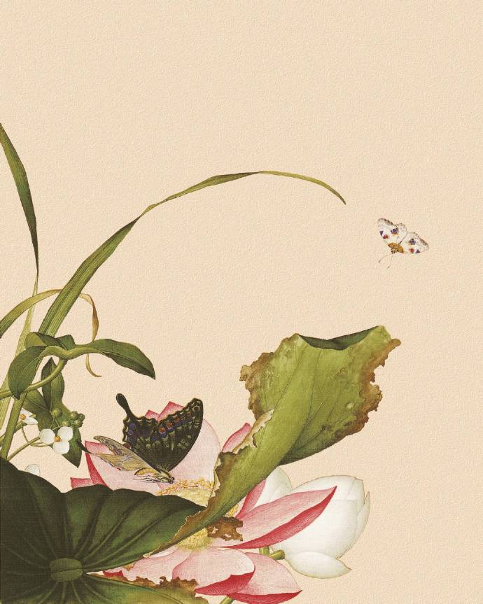 郎世寧的工筆畫欣賞，品味國畫藝術(shù)的古典之美