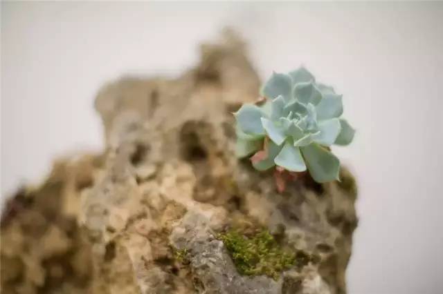 麗江新中式風(fēng)格民宿，麗水云邊