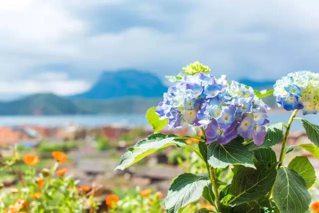 瀘沽湖新中式風(fēng)格民宿，等風(fēng)·半山