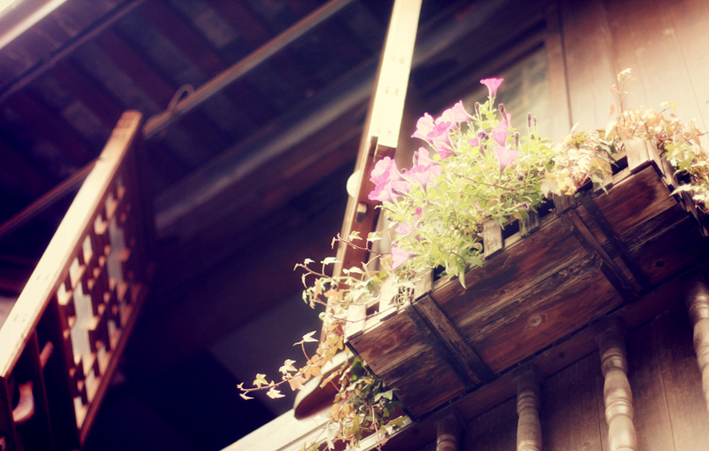 古建筑裝飾之美，花窗（2）