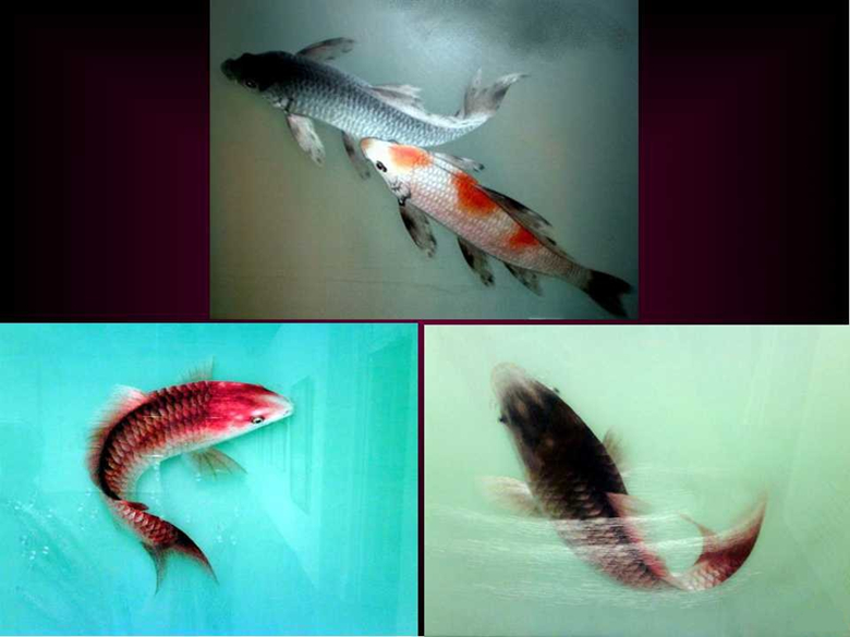 “蘇繡皇后”姚建萍，作品欣賞