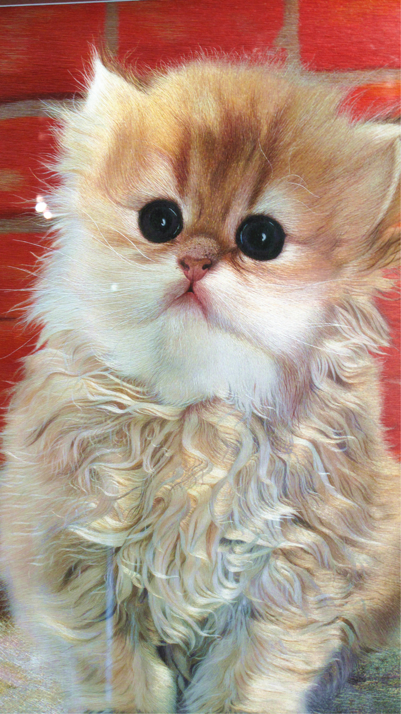 “蘇繡皇后”姚建萍，作品欣賞