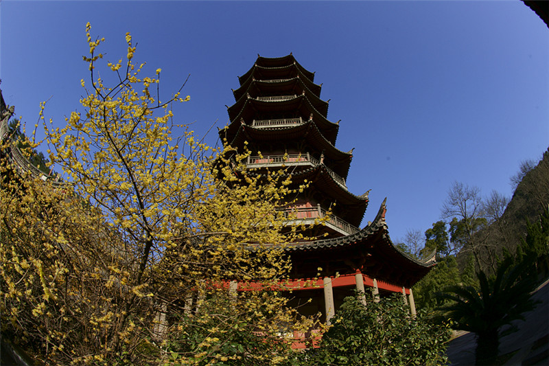 “東南佛國(guó)”之稱(chēng)——阿育王寺