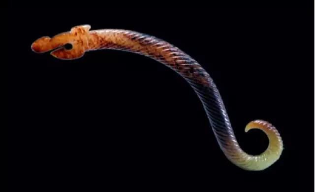 中國華夏戰(zhàn)國時(shí)期古玉之美