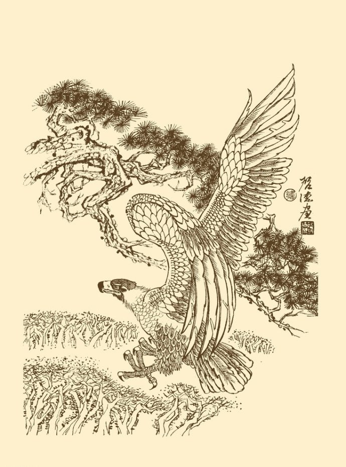 梁啟德精美雄鷹白描作品