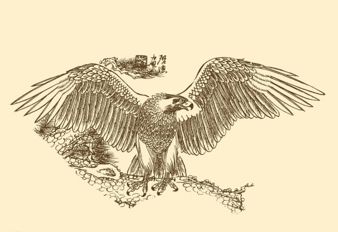 梁啟德精美雄鷹白描作品