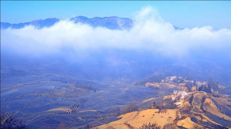 藍(lán)色的元陽(yáng)梯田風(fēng)光攝影