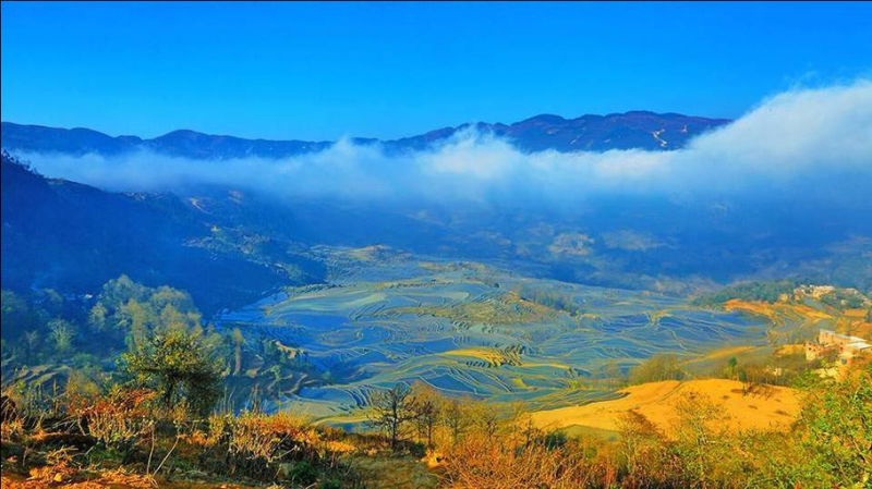 藍(lán)色的元陽(yáng)梯田風(fēng)光攝影