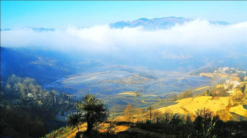 藍(lán)色的元陽(yáng)梯田風(fēng)光攝影