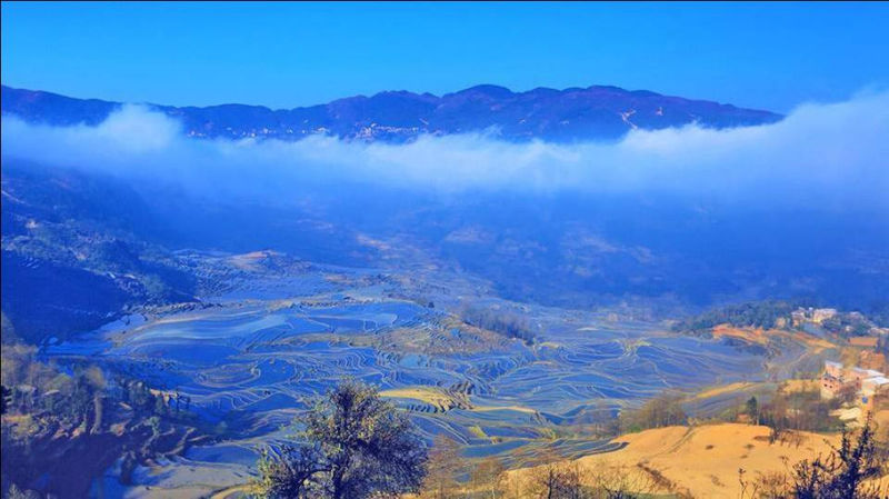 藍色的元陽梯田風光攝影