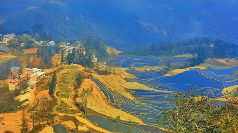 藍(lán)色的元陽梯田風(fēng)光攝影