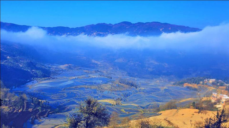 藍(lán)色的元陽梯田風(fēng)光攝影