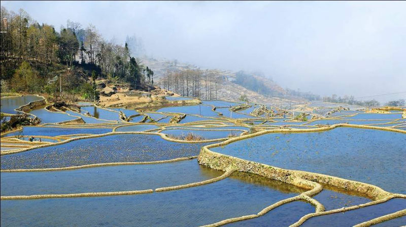 藍(lán)色的元陽梯田風(fēng)光攝影