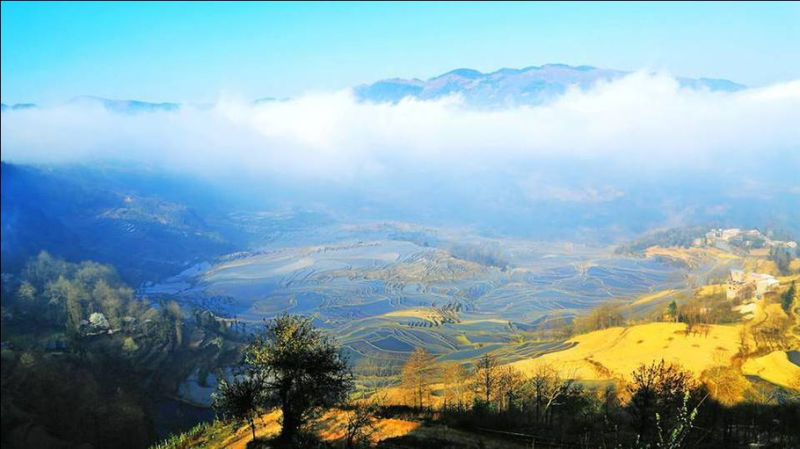 藍(lán)色的元陽梯田風(fēng)光攝影