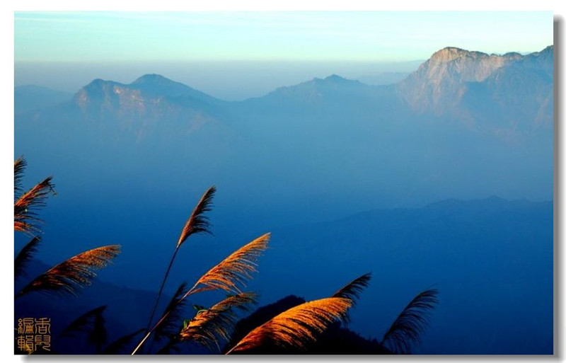 臺(tái)灣阿里山風(fēng)光攝影欣賞