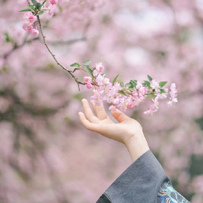 玉手撫枝古風(fēng)頭像，唯美女子纖手頭像