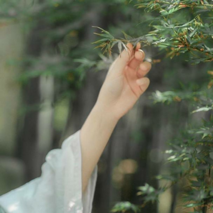玉手撫枝古風(fēng)頭像，唯美女子纖手頭像