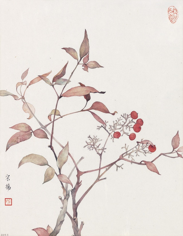 古典清雅宋揚(yáng)國(guó)畫植物家具工筆畫（二）