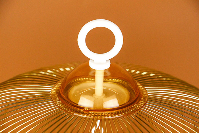 鸚鵡金屬裝飾觀賞鳥籠