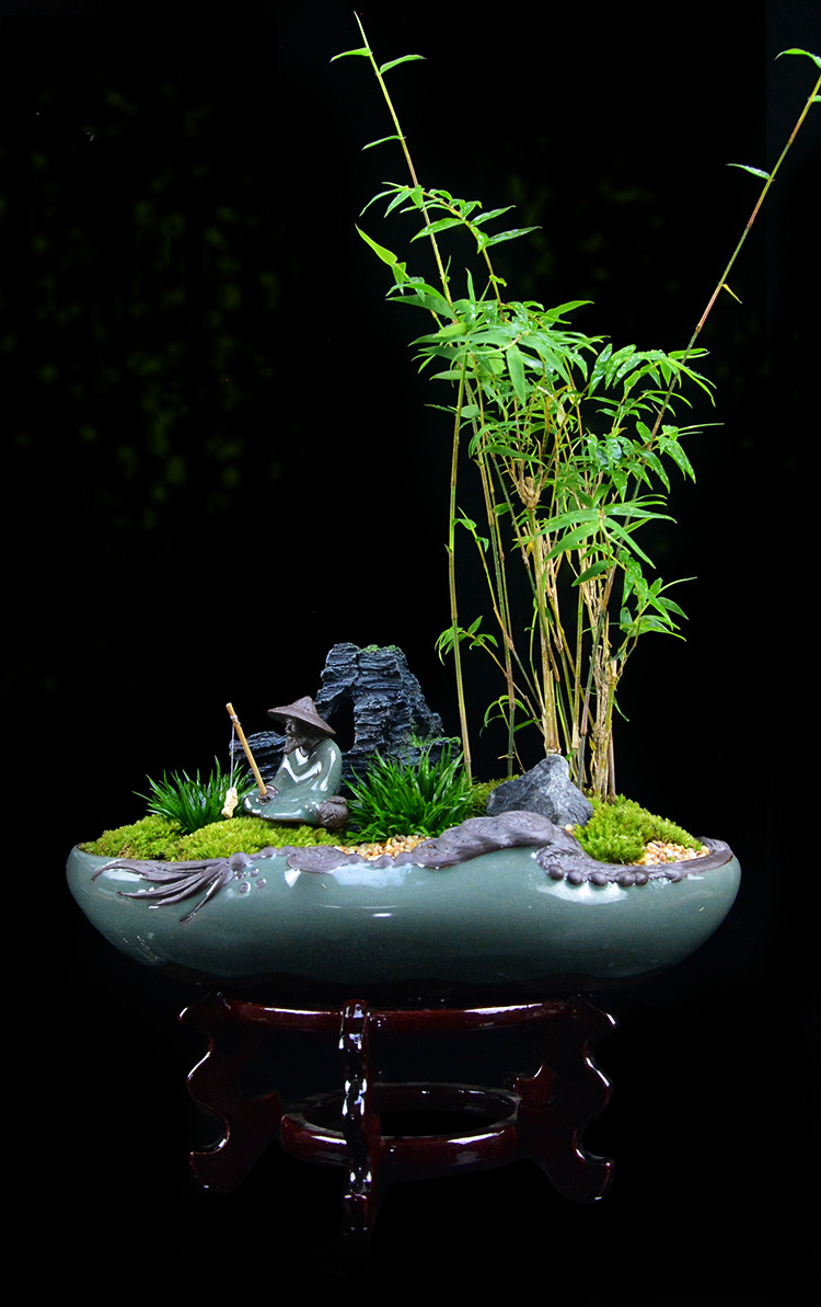 米竹雅致盆景，四季常青竹韻盆景圖片