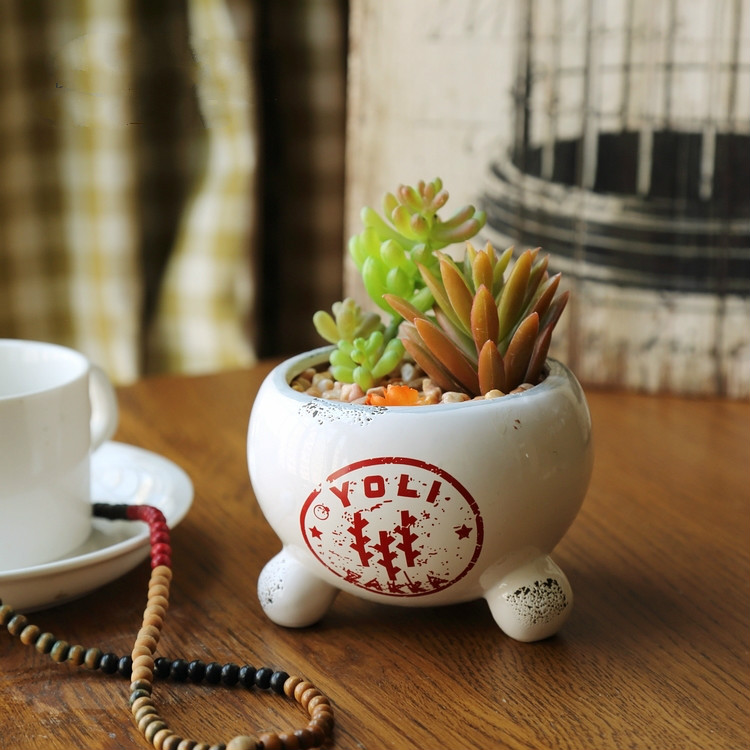 田園風格盆景，綠意盎然盆景圖片