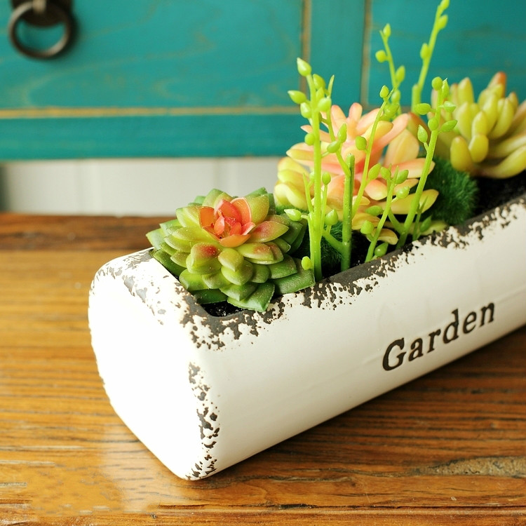 田園風格盆景，綠意盎然盆景圖片