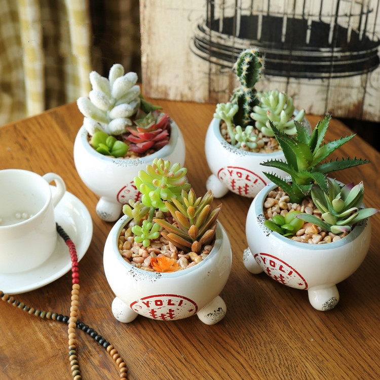 田園風格盆景，綠意盎然盆景圖片