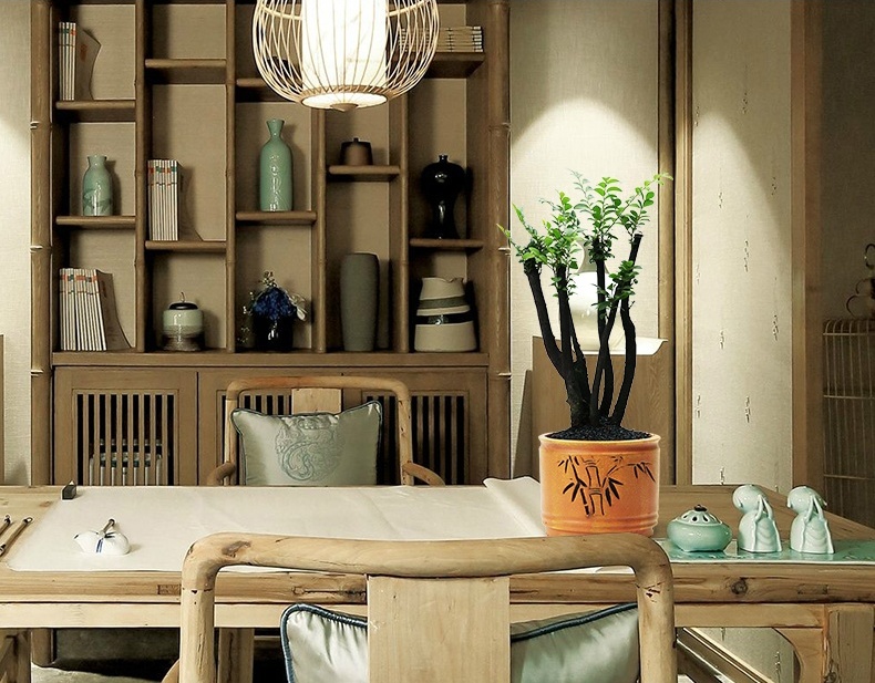 小葉紫檀盆景，黑骨茶樣式盆景圖片