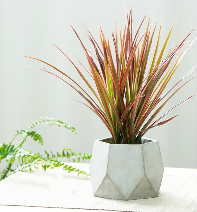 簡(jiǎn)約水泥盆景，創(chuàng)意時(shí)尚盆景圖片