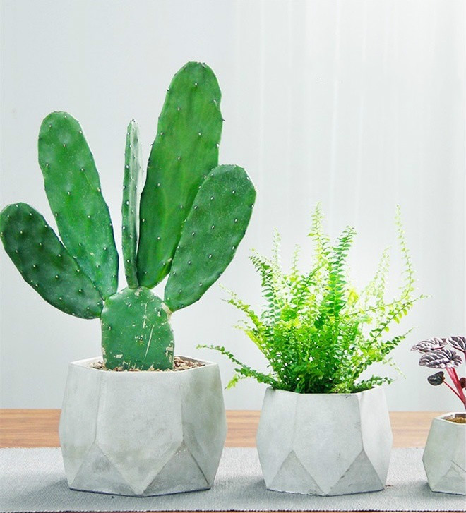 簡(jiǎn)約水泥盆景，創(chuàng)意時(shí)尚盆景圖片