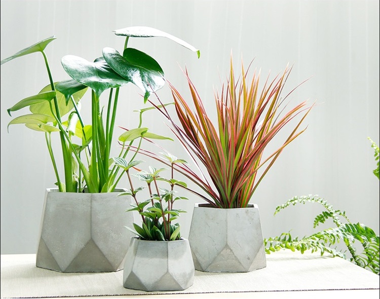 簡(jiǎn)約水泥盆景，創(chuàng)意時(shí)尚盆景圖片