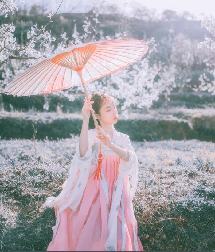 刺繡對(duì)襟齊胸襦裙，清新淡雅漢服