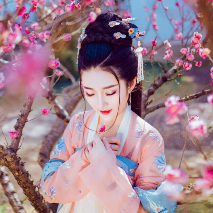 復(fù)古漢服齊胸襦裙，新款繡花漢服美女圖片