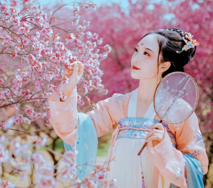 復(fù)古漢服齊胸襦裙，新款繡花漢服美女圖片