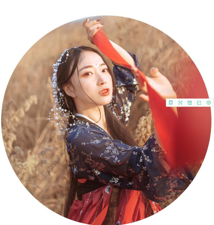 傳統(tǒng)齊胸襦裙，錦繡燙金刺繡漢服圖片