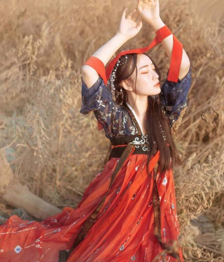 傳統(tǒng)齊胸襦裙，錦繡燙金刺繡漢服圖片