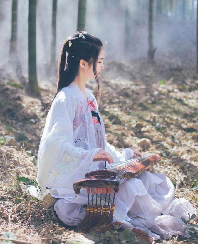 魏晉風(fēng)女裝繡花大袖衫，復(fù)古家佳樂文學(xué)漢服圖片