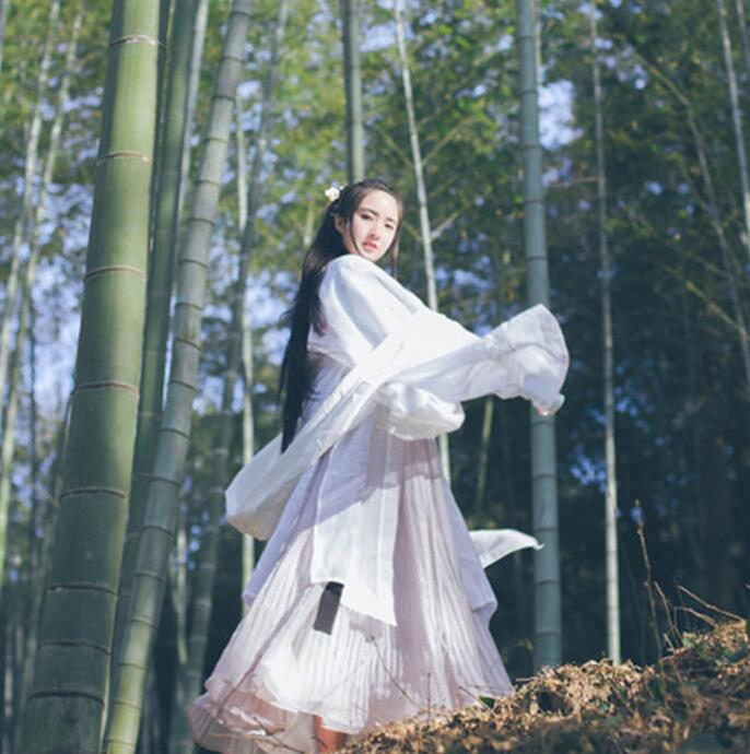 魏晉風(fēng)女裝繡花大袖衫，復(fù)古家佳樂文學(xué)漢服圖片