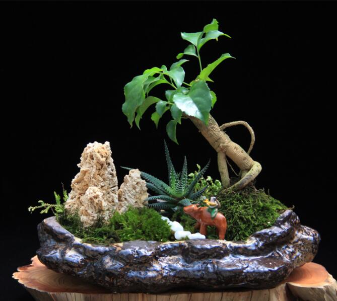 高檔水石藝術(shù)組合，綠植微景觀旱盆盆景