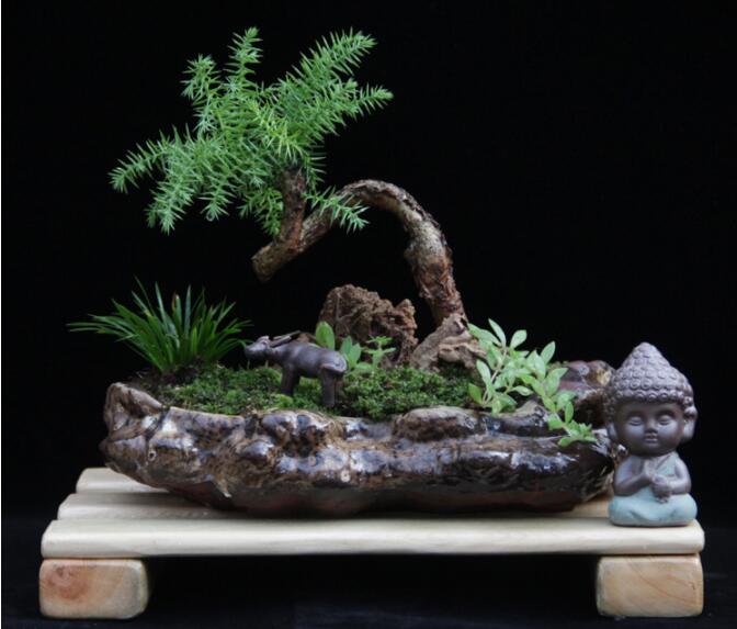 高檔水石藝術(shù)組合，綠植微景觀旱盆盆景