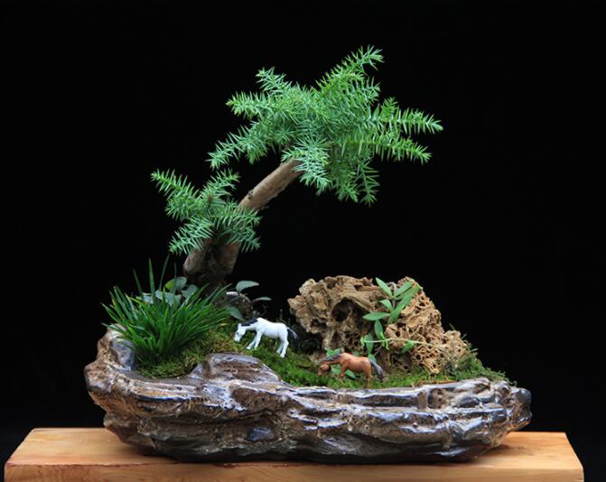 高檔水石藝術(shù)組合，綠植微景觀旱盆盆景