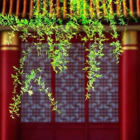 雄峙數(shù)千年的古建筑，歷史古建筑風(fēng)情萬種！