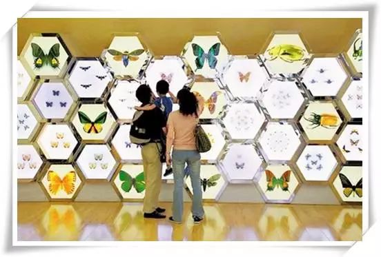 適合孩子的博物館推薦，探索世界奧秘！