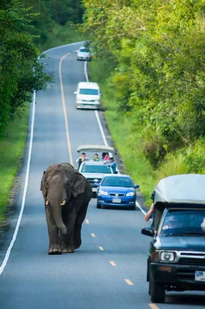 十條最適合自駕出游的家佳樂(lè)文學(xué)景公路，一路美景